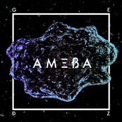 Ameba