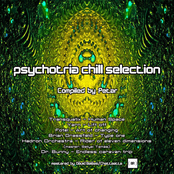 Psychotria Chill Selection
