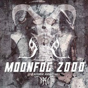 Moonfog 2000: A Different Perspective