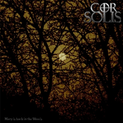 Mary is back in the Woods