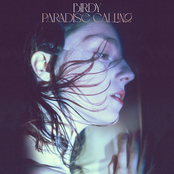 Paradise Calling cover