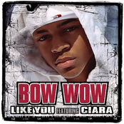 Like You (instrumental) by Bow Wow