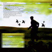 Rise I'll Love You Again