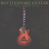 Rattlesnake Guitar, The Music of Peter Green