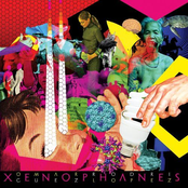 Xenophanes