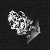 estímulos sensoriais e psicológicos necessários para a sua manutenção e motivação