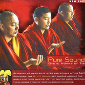 Pure Sounds