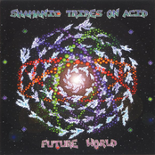 So Stoned by Shamanic Tribes On Acid