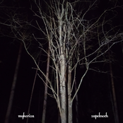 Zapolnoch