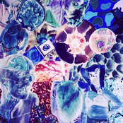 Apocalypse Dreamboat