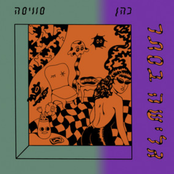 גלישה בסתר