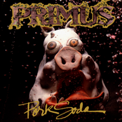 My Name Is Mud by Primus