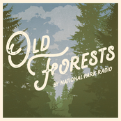 National Park Radio: Old Forests