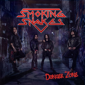 Danger Zone [Explicit]