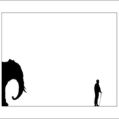 Center-Fold Intentions