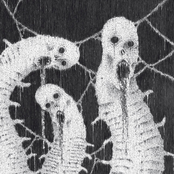 Carcinoid/Charnel Altar Split