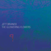 The Glowering Flowers