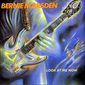 Shakey Ground by Bernie Marsden