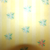 A Patterned Length of Light