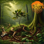 Back Into The Earth - EP