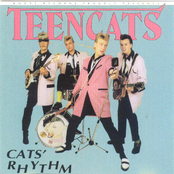 Teddyboy Rocker by Teencats