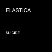 Suicide by Elastica
