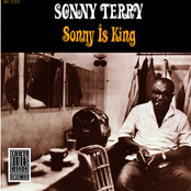 Blues From The Bottom by Sonny Terry