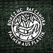 Palmen aus Plastik [Explicit]