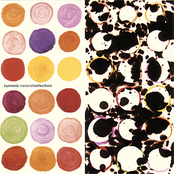 Tunnels: Natural Selection