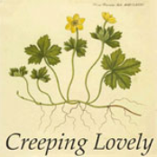 creeping lovely