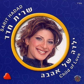 לראות את הכאב by שרית חדד