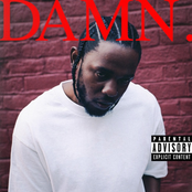 Damn LP