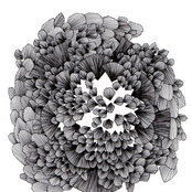 split w/ hurtovyna & la belle verte