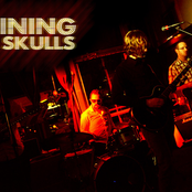 The Shining Skulls