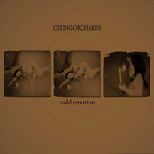 Cold Emotion