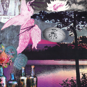 California Night Burning Dreams