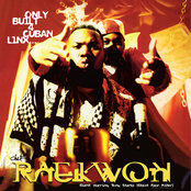 Only Built 4 Cuban Linx...