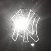 Bury Me in the Bronx