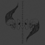 Afflicting the Dichotomy of Trepid Creation