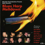 Rick Estrin: Blues Harp Meltdown