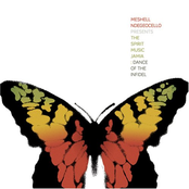 Meshell Ndegeocello: Dance of the Infidel: The Spirit Music Jamia
