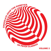 Chocolate Soup For Diabetics, Vol. 2