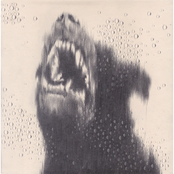 Touching Ice: There Is So Much Pain in the World / Praise Kink