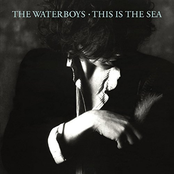 The Water Boys: This Is the Sea (Deluxe Version)