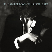 Waterboys: This Is the Sea (Deluxe Version)