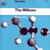 The Willows by Belbury Poly