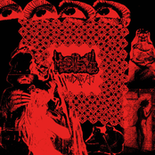 Medwegya’s Madness