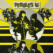 Pebbles 16