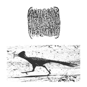 SIR PINSKI LIVE ON THANKSGIVING