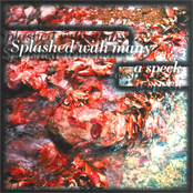 Splashed With Many A Speck